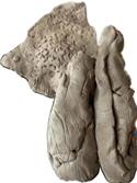 Veranstaltungsbild Workshop: Ein Zauberfisch aus Ton